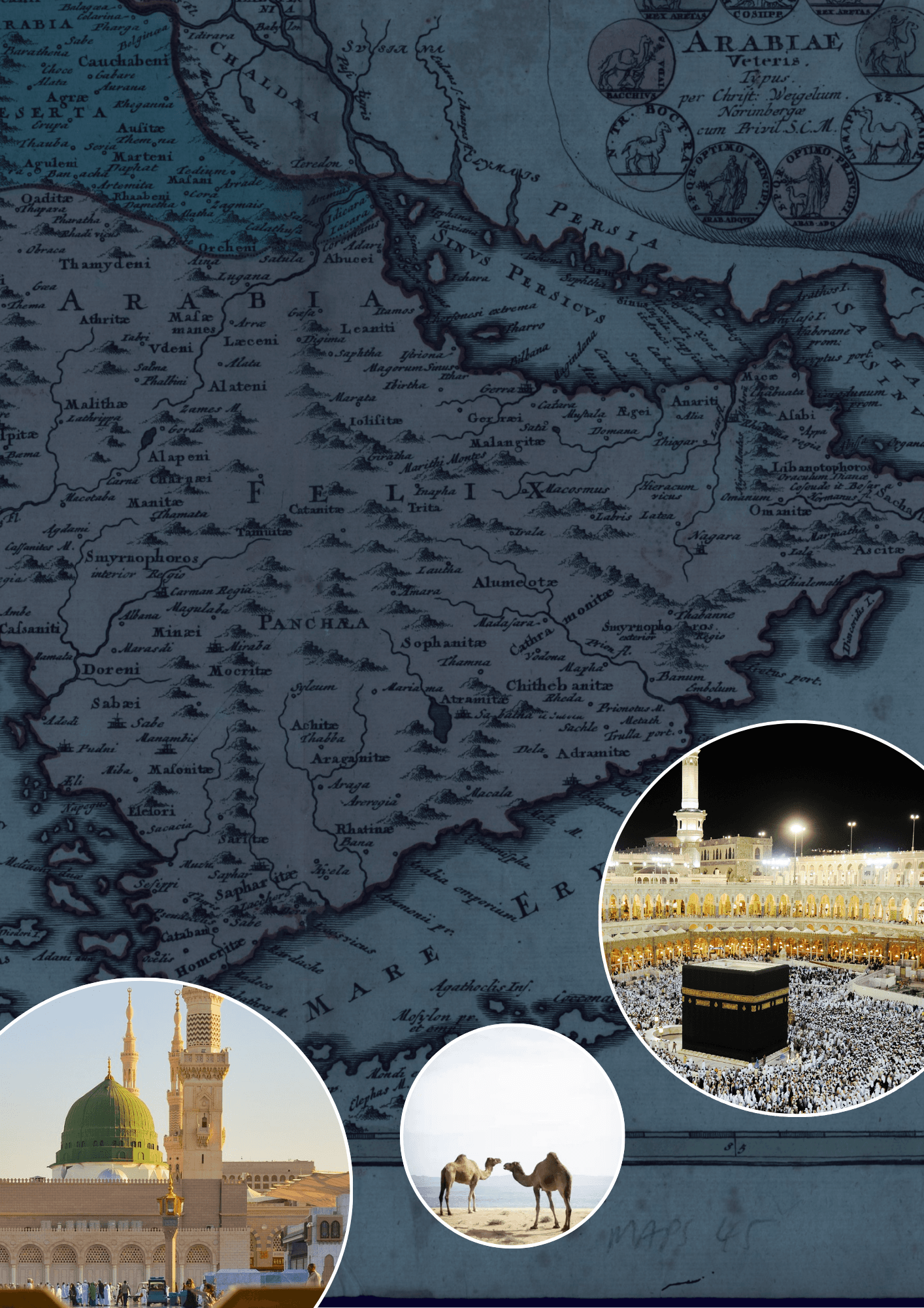 Seerah Image on mobile